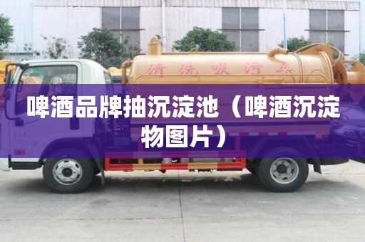 啤酒品牌抽沉淀池（啤酒沉淀物圖片）