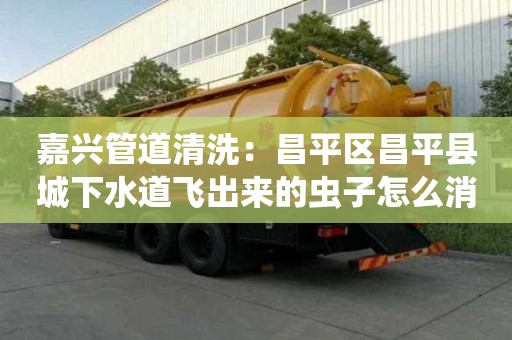 嘉興管道清洗：昌平區(qū)昌平縣城下水道飛出來的蟲子怎么消除