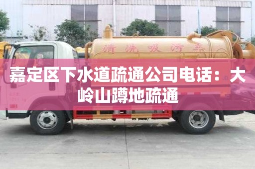 嘉定區下水道疏通公司電話：大嶺山蹲地疏通