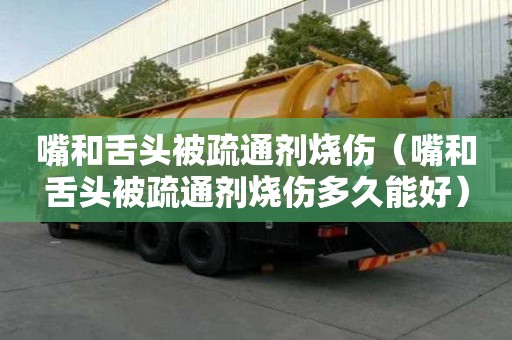 嘴和舌頭被疏通劑燒傷（嘴和舌頭被疏通劑燒傷多久能好）