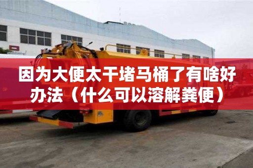 因為大便太干堵馬桶了有啥好辦法（什么可以溶解糞便）