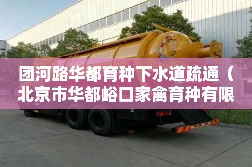 團河路華都育種下水道疏通（北京市華都峪口家禽育種有限公司）