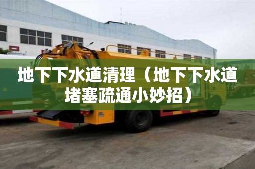 地下下水道清理（地下下水道堵塞疏通小妙招）