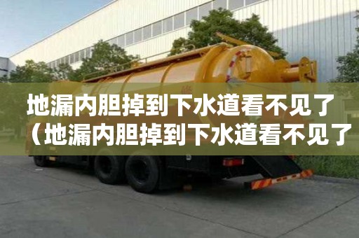 地漏內膽掉到下水道看不見了(地漏內膽掉到下水道看不見了能取出來嗎) 地漏內膽掉到下水道看不見了(地漏內膽掉到下水道看不見了能取出來嗎)