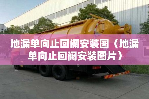 地漏單向止回閥安裝圖（地漏單向止回閥安裝圖片）