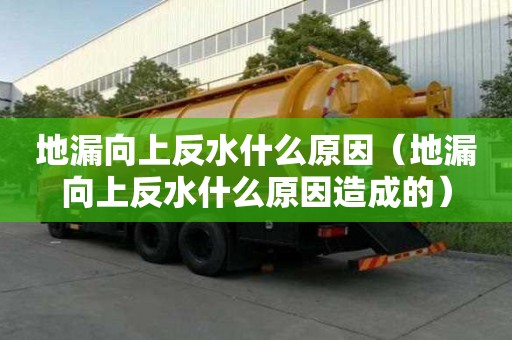 地漏向上反水什么原因（地漏向上反水什么原因造成的）