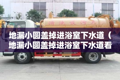 地漏小圓蓋掉進浴室下水道（地漏小圓蓋掉進浴室下水道看不見了）