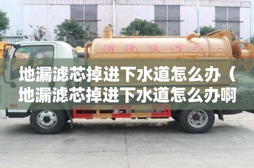 地漏濾芯掉進下水道怎么辦（地漏濾芯掉進下水道怎么辦啊）