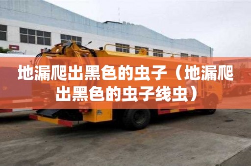 地漏爬出黑色的蟲(chóng)子（地漏爬出黑色的蟲(chóng)子線蟲(chóng)）