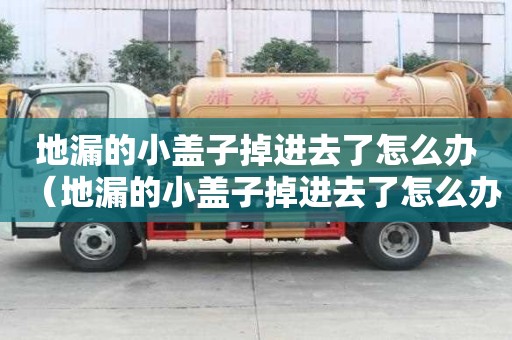 地漏的小蓋子掉進去了怎么辦（地漏的小蓋子掉進去了怎么辦啊）