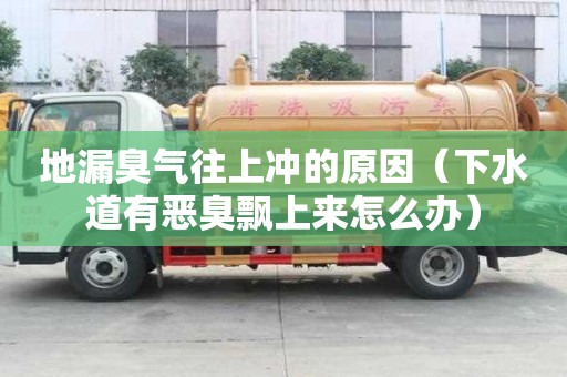 地漏臭氣往上沖的原因（下水道有惡臭飄上來怎么辦）