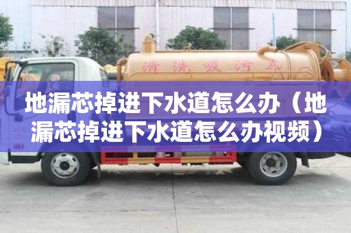 地漏芯掉進下水道怎么辦（地漏芯掉進下水道怎么辦視頻）