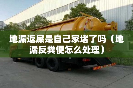 地漏返屎是自己家堵了嗎（地漏反糞便怎么處理）