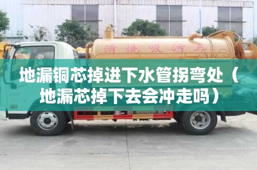 地漏銅芯掉進下水管拐彎處(地漏芯掉下去會沖走嗎) 地漏銅芯掉進下水管拐彎處(地漏芯掉下去會沖走嗎)