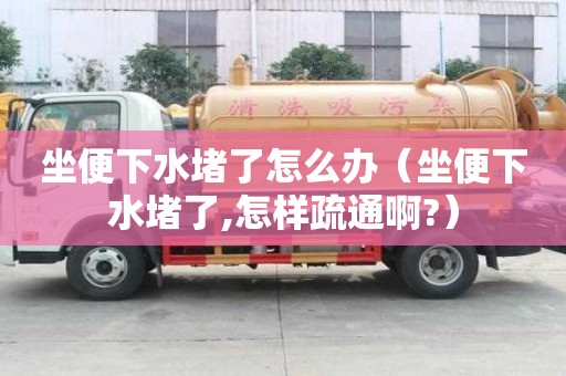 坐便下水堵了怎么辦(坐便下水堵了,怎樣疏通啊?) 坐便下水堵了怎么辦(坐便下水堵了,怎樣疏通啊?)