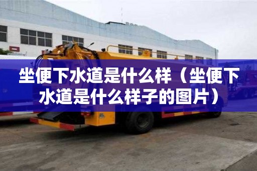 坐便下水道是什么樣（坐便下水道是什么樣子的圖片）