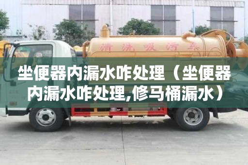 坐便器內漏水咋處理（坐便器內漏水咋處理,修馬桶漏水）