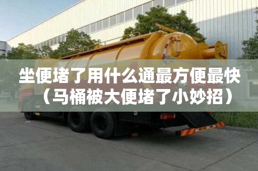 坐便堵了用什么通最方便最快(馬桶被大便堵了小妙招) 坐便堵了用什么通最方便最快(馬桶被大便堵了小妙招)