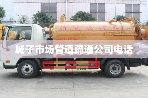 城子市場管道疏通公司電話