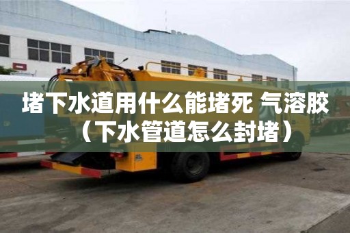 堵下水道用什么能堵死 氣溶膠（下水管道怎么封堵）