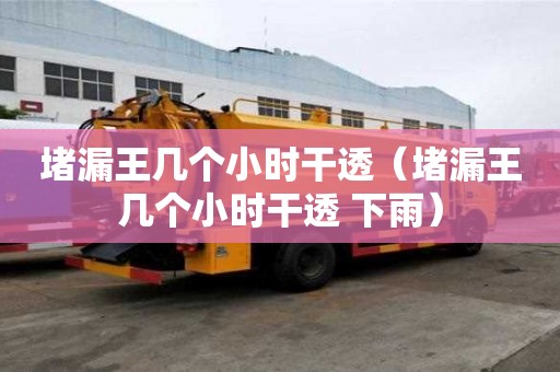堵漏王幾個小時干透（堵漏王幾個小時干透 下雨）