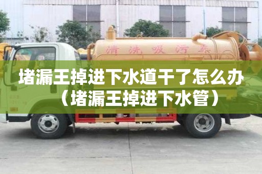 堵漏王掉進下水道干了怎么辦（堵漏王掉進下水管）