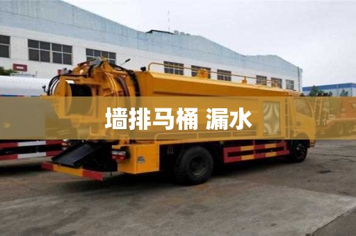 墻排馬桶 漏水