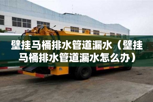 壁掛馬桶排水管道漏水（壁掛馬桶排水管道漏水怎么辦）