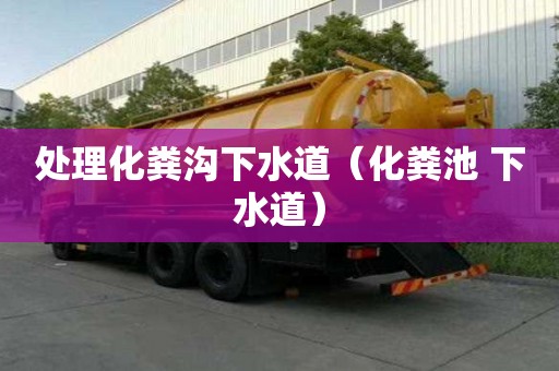 處理化糞溝下水道（化糞池 下水道）