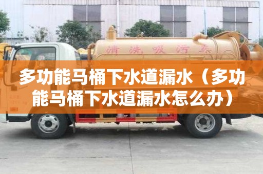 多功能馬桶下水道漏水（多功能馬桶下水道漏水怎么辦）