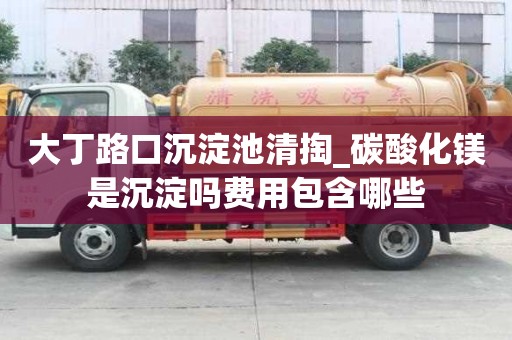 大丁路口沉淀池清掏_碳酸化鎂是沉淀嗎費用包含哪些