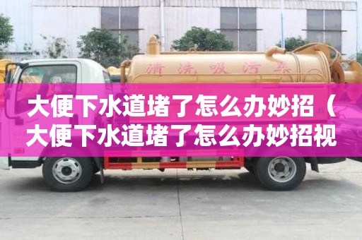 大便下水道堵了怎么辦妙招（大便下水道堵了怎么辦妙招視頻）