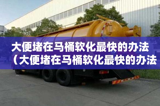 大便堵在馬桶軟化最快的辦法(大便堵在馬桶軟化最快的辦法) 大便堵在馬桶軟化最快的辦法(大便堵在馬桶軟化最快的辦法)