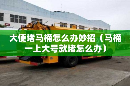 大便堵馬桶怎么辦妙招（馬桶一上大號就堵怎么辦）