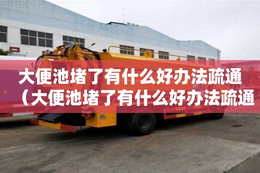大便池堵了有什么好辦法疏通（大便池堵了有什么好辦法疏通馬桶）