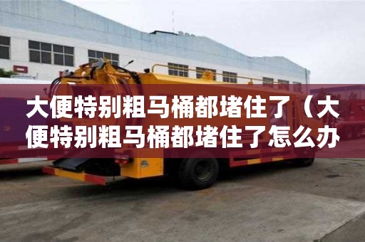 大便特別粗馬桶都堵住了（大便特別粗馬桶都堵住了怎么辦）