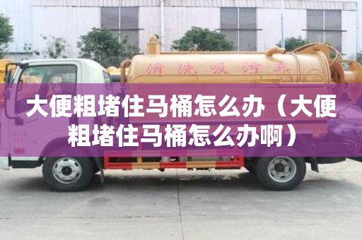 大便粗堵住馬桶怎么辦（大便粗堵住馬桶怎么辦啊）