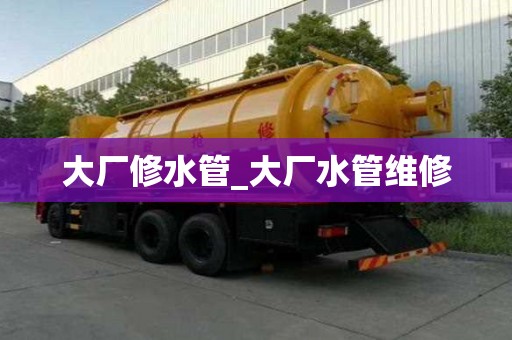 大廠修水管_大廠水管維修