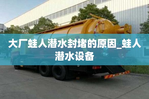 大廠蛙人潛水封堵的原因_蛙人潛水設備