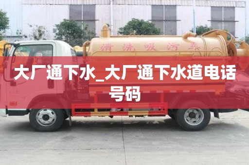 大廠通下水_大廠通下水道電話號碼 大廠通下水_大廠通下水道電話號碼