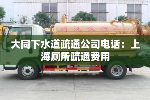 大同下水道疏通公司電話：上海廁所疏通費用