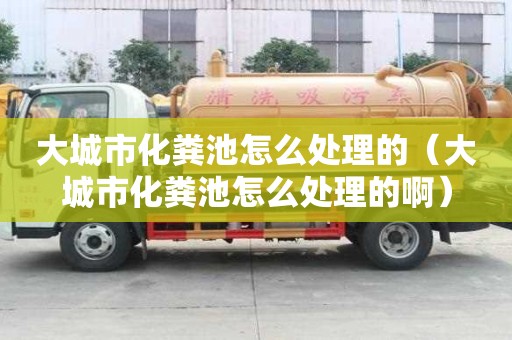 大城市化糞池怎么處理的（大城市化糞池怎么處理的啊）