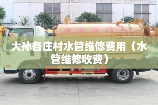 大孫各莊村水管維修費用（水管維修收費）