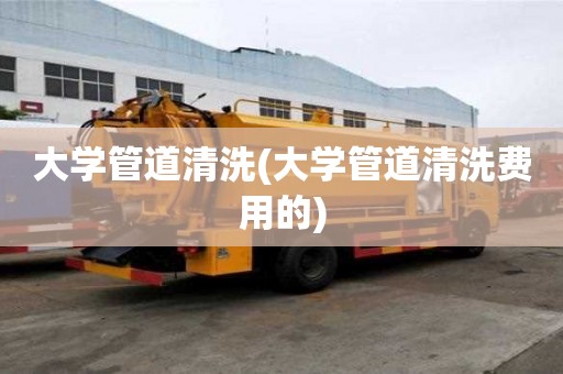大學管道清洗(大學管道清洗費用的)