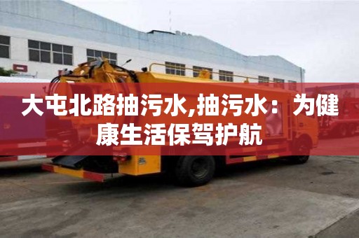 大屯北路抽污水,抽污水：為健康生活保駕護(hù)航