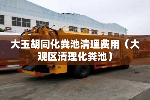 大玉胡同化糞池清理費(fèi)用（大觀區(qū)清理化糞池）