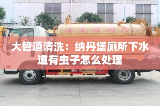 大管道清洗：納丹堡廁所下水道有蟲子怎么處理