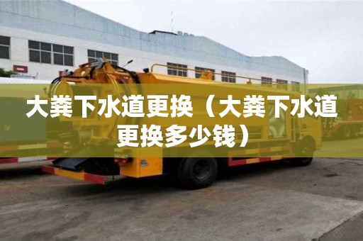 大糞下水道更換（大糞下水道更換多少錢）
