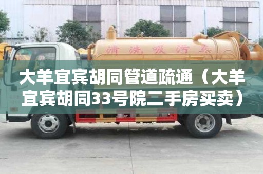 大羊宜賓胡同管道疏通（大羊宜賓胡同33號院二手房買賣）