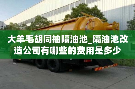 大羊毛胡同抽隔油池_隔油池改造公司有哪些的費用是多少